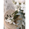 WHITE PEONY